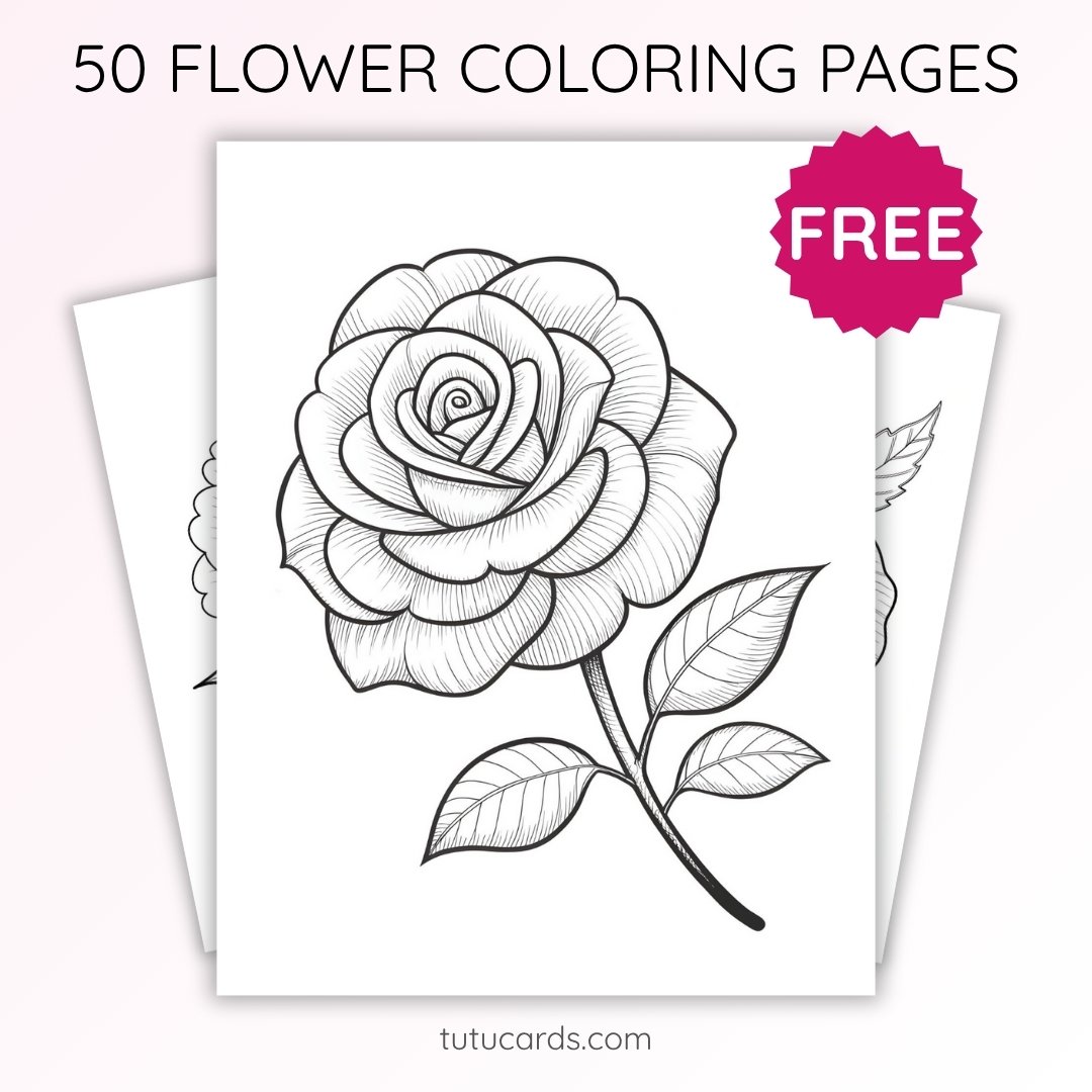 Rose Flower Coloring Page for Kids | Printable Floral Art PDF | US Letter | TutuCards Beautiful Flowers Series - Image 1 of 4