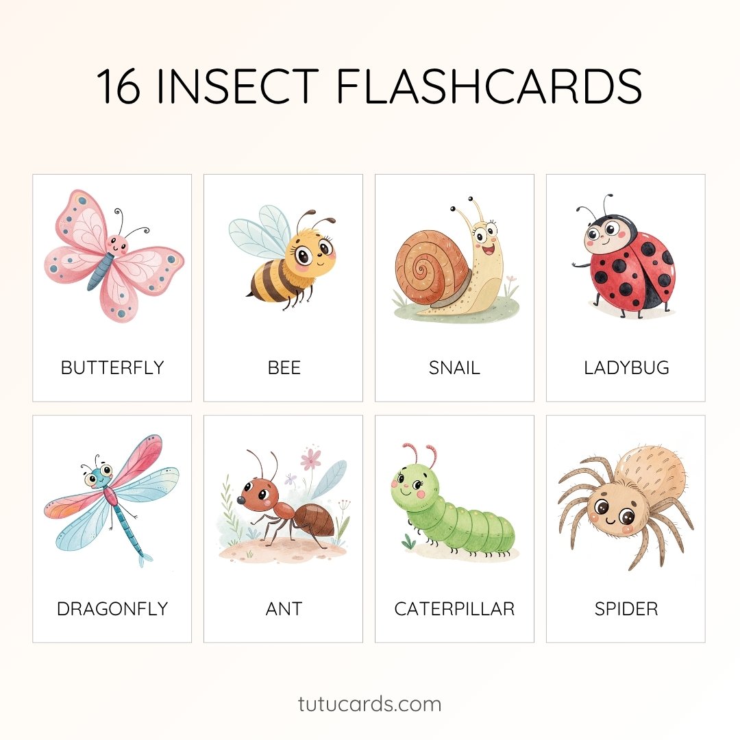 16 Cute Colorful Insect Flashcards | Printable Cards | 3.5x5 inch | Kids Learning & Classroom Decor - Image 1 of 3