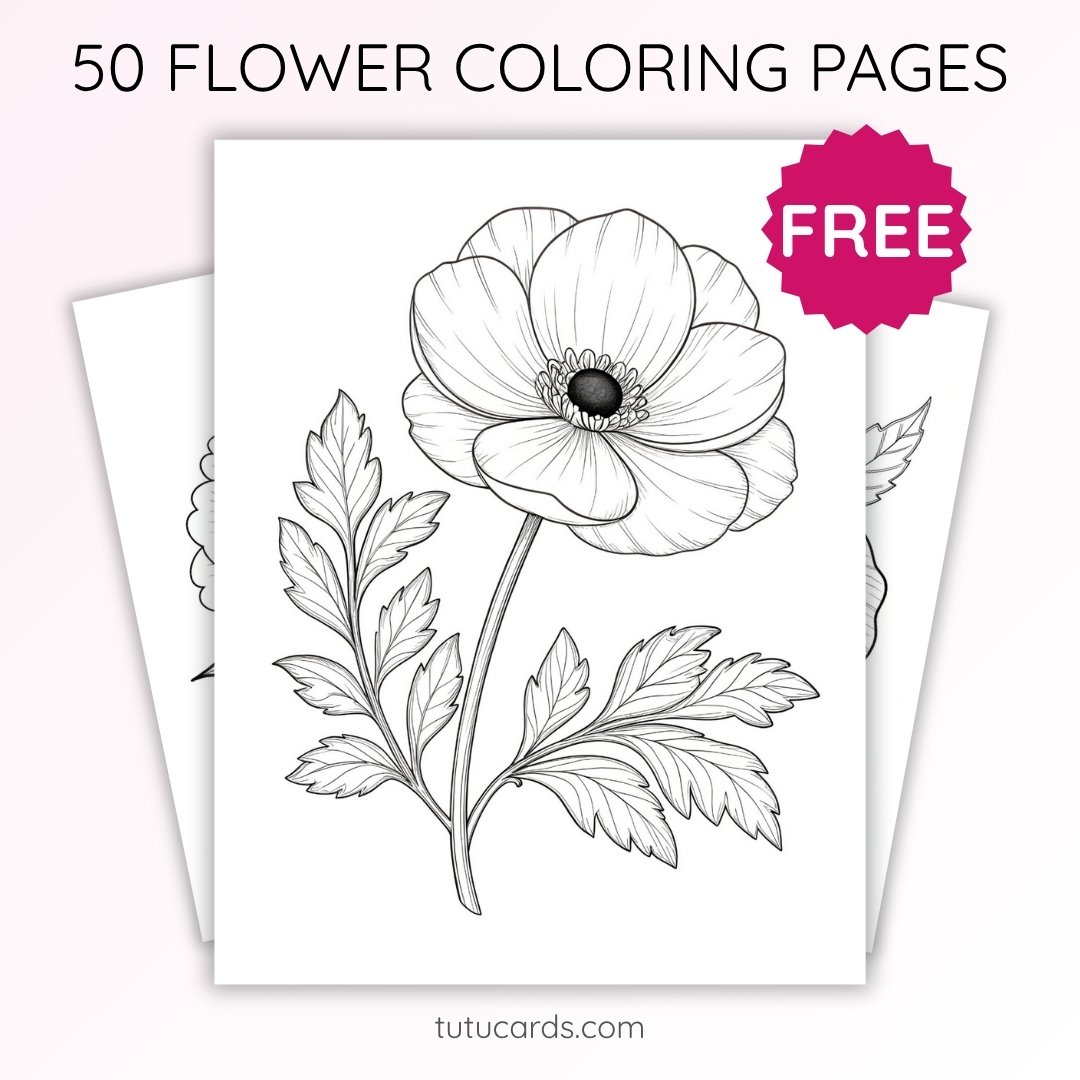 Anemone Flower Coloring Page for Kids | Printable Floral Art PDF | US Letter | TutuCards Nature Study Series - Image 1 of 4