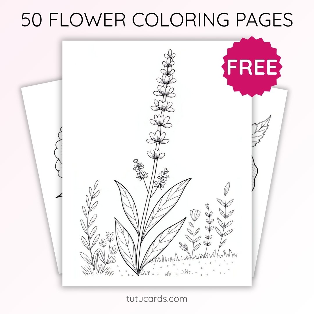 Lavender Flower Coloring Page for Kids | Printable Calm Art PDF | US Letter | TutuCards Nature & Relax Series - Image 1 of 4