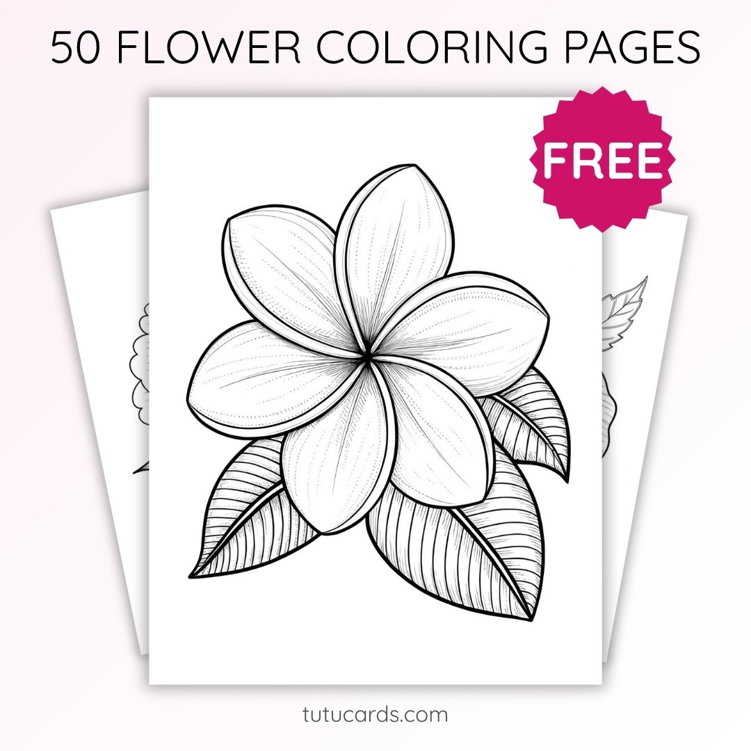 Frangipani (Plumeria) Flower Coloring Page | Printable Single Bloom Art PDF | US Letter | TutuCards Tropical Series - Image 1 of 4