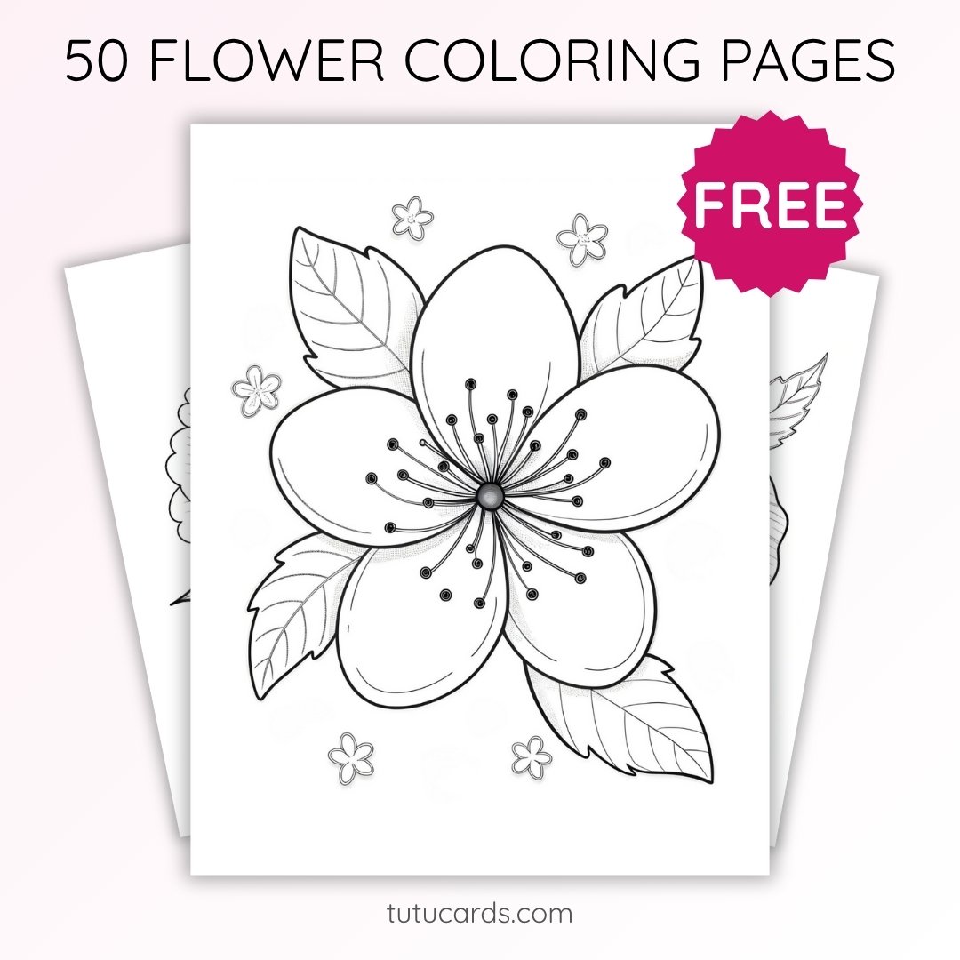 Cherry Blossom Flower Coloring Page | Printable Single Bloom Art PDF | US Letter | TutuCards Spring Nature Series - Image 1 of 4