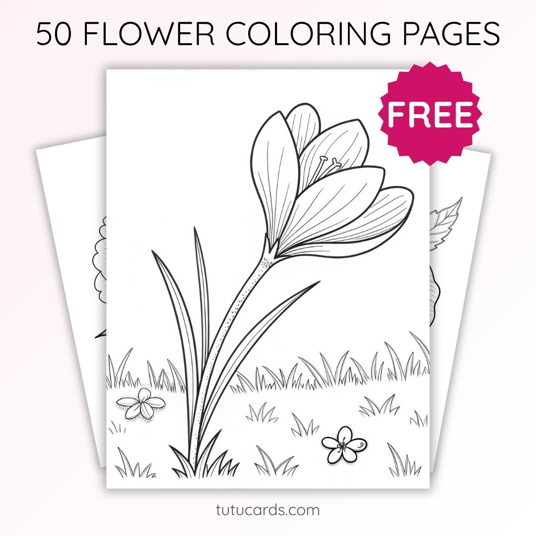 Crocus Flower Coloring Page for Kids | Printable Early Spring Art PDF | US Letter | TutuCards Nature Series - Image 1 of 4