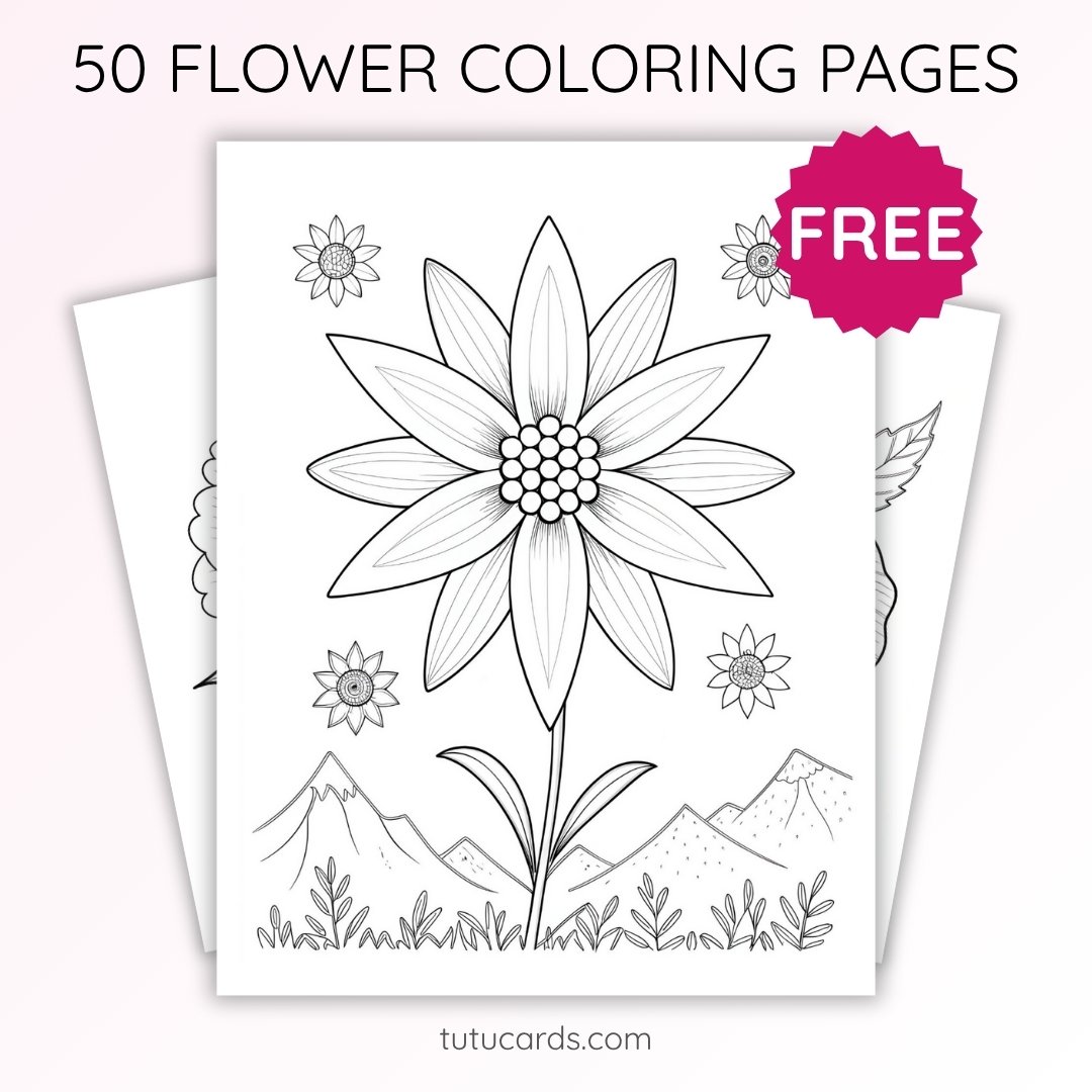 Edelweiss Flower Coloring Page for Kids | Printable Mountain Flower Art PDF | US Letter | TutuCards Nature Study Series - Image 1 of 4