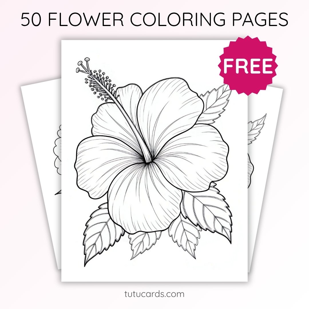 Hibiscus Flower Coloring Page for Kids | Printable PDF | US Letter | TutuCards Nature Series - Image 1 of 4