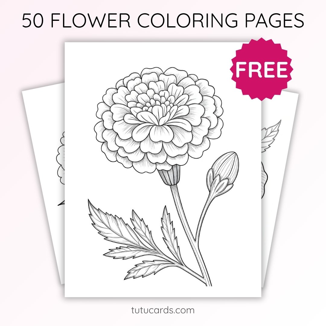 Carnation Flower Coloring Page for Kids | Printable Mother’s Day Art PDF | US Letter | TutuCards Nature & Holiday Series - Image 1 of 4