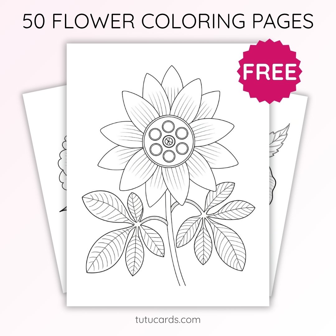 Passionflower Coloring Page for Kids | Printable Exotic Flower Art PDF | US Letter | TutuCards Nature Study Series - Image 1 of 4