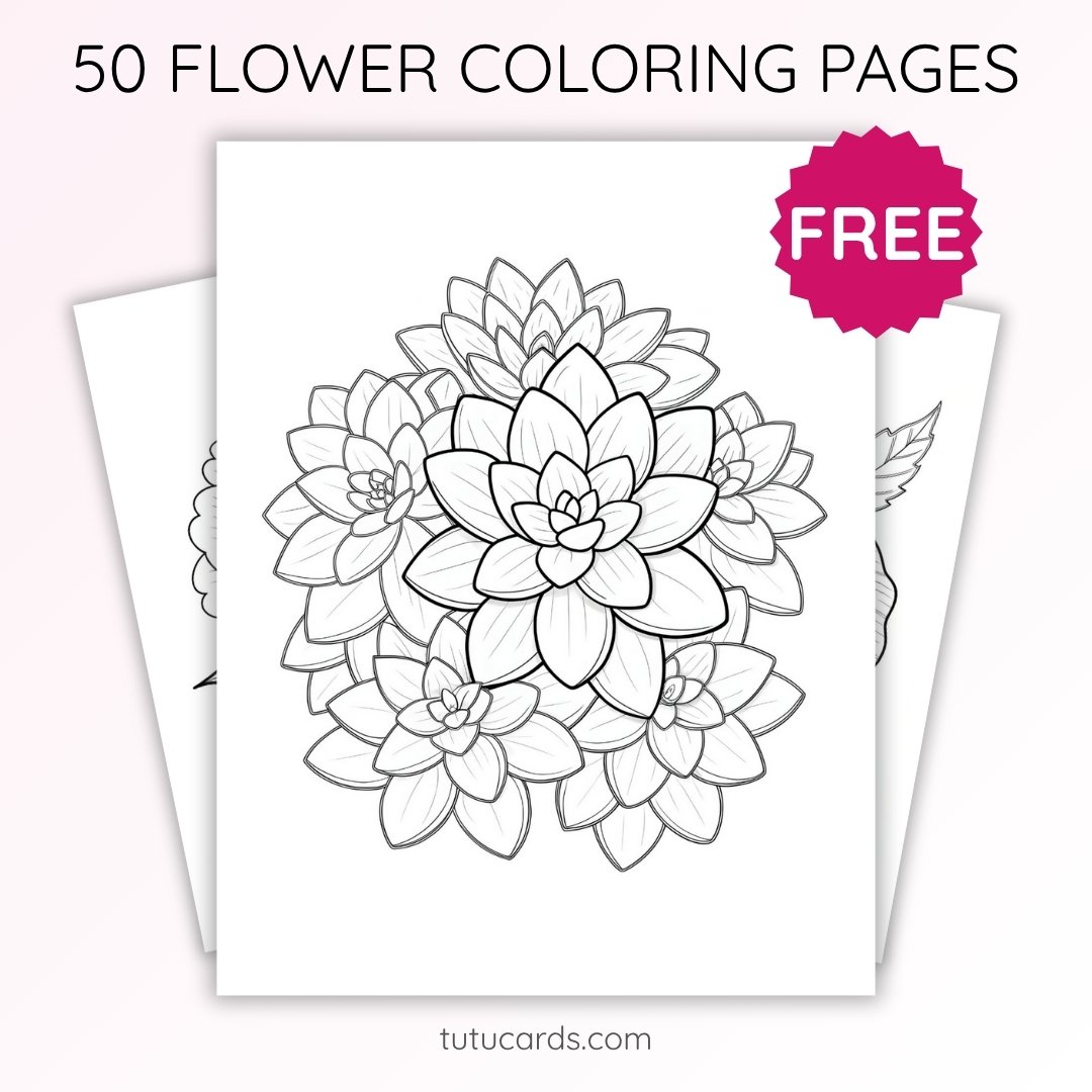 Little Sedum Cluster Coloring Page for Kids | Printable Cute Succulent Art PDF | US Letter | TutuCards Home & Nature Series - Image 1 of 4