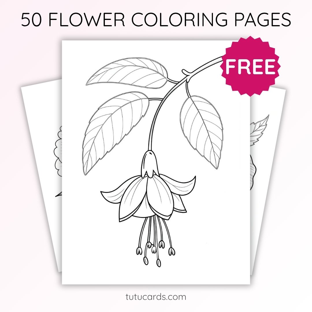Fuchsia Flower Coloring Page for Kids | Printable Hanging Bloom Art PDF | US Letter | TutuCards Beautiful Flowers Series - Image 1 of 4