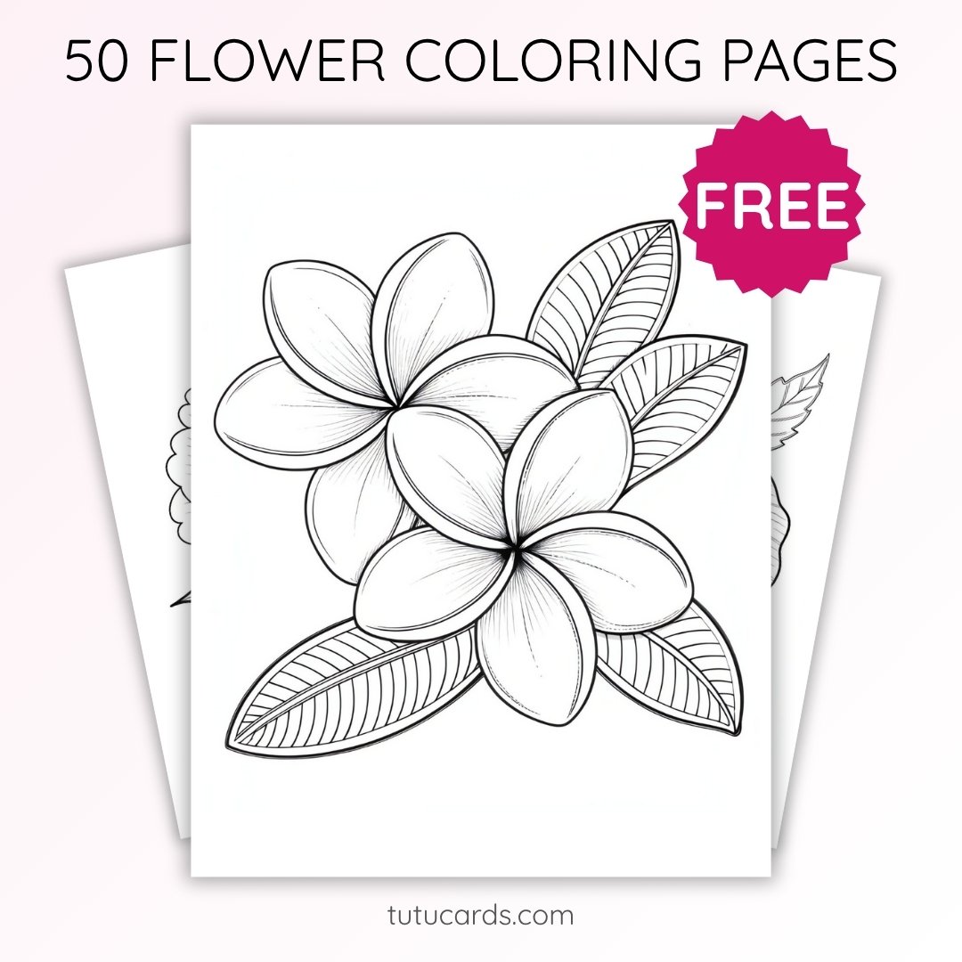 Plumeria Flower Coloring Page for Kids | Printable PDF | US Letter | TutuCards Nature Series - Image 1 of 4