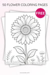 Sunflower Coloring Page for Kids | Printable Summer Flower Art PDF | US Letter | TutuCards Nature Learning Series preview 3
