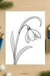 Snowdrop Flower Coloring Page for Kids | Printable Winter-to-Spring Art PDF | US Letter | TutuCards Nature Study Series preview 4