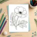 Anemone Flower Coloring Page for Kids | Printable Floral Art PDF | US Letter | TutuCards Nature Study Series preview 2