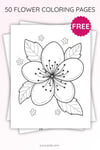 Cherry Blossom Flower Coloring Page | Printable Single Bloom Art PDF | US Letter | TutuCards Spring Nature Series preview 3