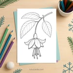 Fuchsia Flower Coloring Page for Kids | Printable Hanging Bloom Art PDF | US Letter | TutuCards Beautiful Flowers Series preview 2