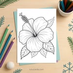 Hibiscus Flower Coloring Page for Kids | Printable PDF | US Letter | TutuCards Nature Series preview 2
