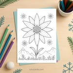 Edelweiss Flower Coloring Page for Kids | Printable Mountain Flower Art PDF | US Letter | TutuCards Nature Study Series preview 2