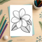 Frangipani (Plumeria) Flower Coloring Page | Printable Single Bloom Art PDF | US Letter | TutuCards Tropical Series preview 2