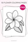 Frangipani (Plumeria) Flower Coloring Page | Printable Single Bloom Art PDF | US Letter | TutuCards Tropical Series preview 3