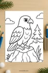 20 Birds Coloring Pages for Kids | Nature Learning Workbook | Printable PDF | US Letter | Preschool + Kindergarten Activity preview 9