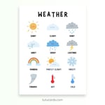 Weather Poster — Colorful Minimalist Wall Art for Kids, Gentle Modern Classroom & Homeschool Decor preview 2