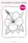 Hibiscus Flower Coloring Page for Kids | Printable PDF | US Letter | TutuCards Nature Series preview 3