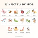 16 Cute Colorful Insect Flashcards | Printable Cards | 3.5x5 inch | Kids Learning & Classroom Decor preview 2