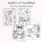 20 Birds Coloring Pages for Kids | Nature Learning Workbook | Printable PDF | US Letter | Preschool + Kindergarten Activity preview 3