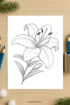 Lily Flower Coloring Page for Kids | Printable Floral Art PDF | US Letter | TutuCards Beautiful Flowers Series preview 4