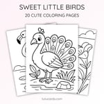 20 Birds Coloring Pages for Kids | Nature Learning Workbook | Printable PDF | US Letter | Preschool + Kindergarten Activity preview 2