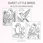 20 Birds Coloring Pages for Kids | Nature Learning Workbook | Printable PDF | US Letter | Preschool + Kindergarten Activity preview 4