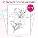 Lily Flower Coloring Page for Kids | Printable Floral Art PDF | US Letter | TutuCards Beautiful Flowers Series preview 1