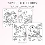 20 Birds Coloring Pages for Kids | Nature Learning Workbook | Printable PDF | US Letter | Preschool + Kindergarten Activity preview 6