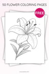 Lily Flower Coloring Page for Kids | Printable Floral Art PDF | US Letter | TutuCards Beautiful Flowers Series preview 3