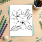 Plumeria Flower Coloring Page for Kids | Printable PDF | US Letter | TutuCards Nature Series preview 2