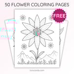 Edelweiss Flower Coloring Page for Kids | Printable Mountain Flower Art PDF | US Letter | TutuCards Nature Study Series preview 1