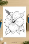 Hibiscus Flower Coloring Page for Kids | Printable PDF | US Letter | TutuCards Nature Series preview 4