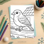 20 Birds Coloring Pages for Kids | Nature Learning Workbook | Printable PDF | US Letter | Preschool + Kindergarten Activity preview 7