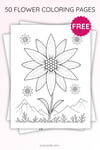 Edelweiss Flower Coloring Page for Kids | Printable Mountain Flower Art PDF | US Letter | TutuCards Nature Study Series preview 3