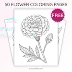 Carnation Flower Coloring Page for Kids | Printable Mother’s Day Art PDF | US Letter | TutuCards Nature & Holiday Series preview 1