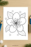 Cherry Blossom Flower Coloring Page | Printable Single Bloom Art PDF | US Letter | TutuCards Spring Nature Series preview 4
