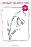 Snowdrop Flower Coloring Page for Kids | Printable Winter-to-Spring Art PDF | US Letter | TutuCards Nature Study Series preview 3