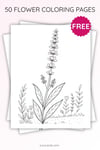 Lavender Flower Coloring Page for Kids | Printable Calm Art PDF | US Letter | TutuCards Nature & Relax Series preview 3
