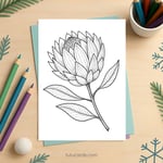 Protea Flower Coloring Page for Kids | Printable Exotic Bloom Art PDF | US Letter | TutuCards Nature Study Series preview 2