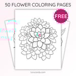 Little Sedum Cluster Coloring Page for Kids | Printable Cute Succulent Art PDF | US Letter | TutuCards Home & Nature Series preview 1