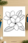 Plumeria Flower Coloring Page for Kids | Printable PDF | US Letter | TutuCards Nature Series preview 4