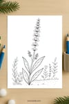 Lavender Flower Coloring Page for Kids | Printable Calm Art PDF | US Letter | TutuCards Nature & Relax Series preview 4