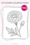 Carnation Flower Coloring Page for Kids | Printable Mother’s Day Art PDF | US Letter | TutuCards Nature & Holiday Series preview 3