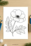 Anemone Flower Coloring Page for Kids | Printable Floral Art PDF | US Letter | TutuCards Nature Study Series preview 4