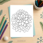 Little Sedum Cluster Coloring Page for Kids | Printable Cute Succulent Art PDF | US Letter | TutuCards Home & Nature Series preview 2